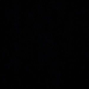 Meet your Posher, Scarlett